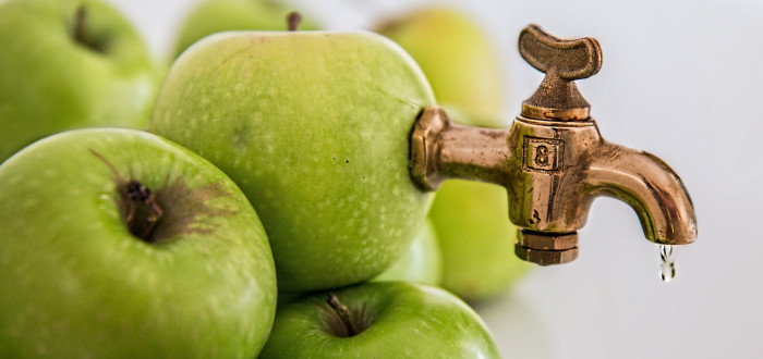 Nevíte, co s bohatou úrodou jablek? Udělejte si mošt nebo ovoce odvezte do moštárny