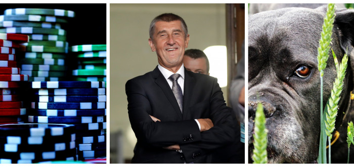 Babiš, pejsci a poker...