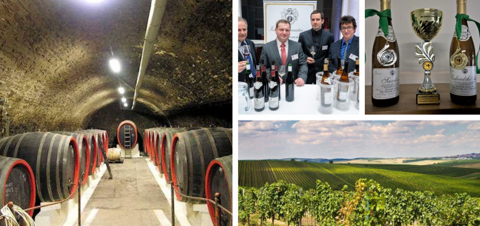 Žarnosecké víno patří vůbec mezi nejznámější nejen v Čechách, ale i v zahraničí