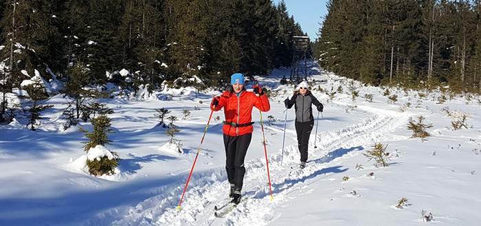Lesníci slíbili, že běžkařům nechají v zimě desítky kilometrů cest, nebudou je prohrnovat, aby stroje neničily stopy
