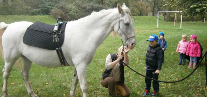 Hiporehabilitace je vhodná pro děti, ale i dospělé s handicapem