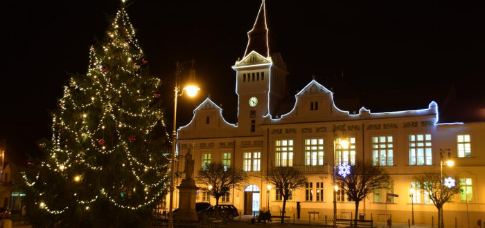 Město hledá vánoční stromky pro náměstí