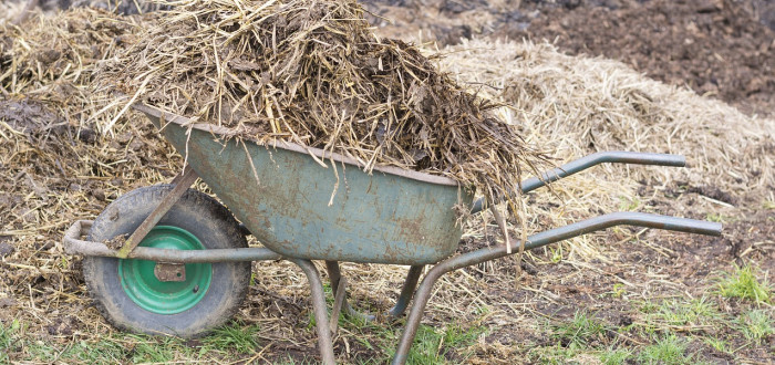 Už se nemůžete dočkat, až se budete věnovat zahrádce? Pokud chcete něco dělat už nyní, připravte si teplé pařeniště nebo vysejte letničky 