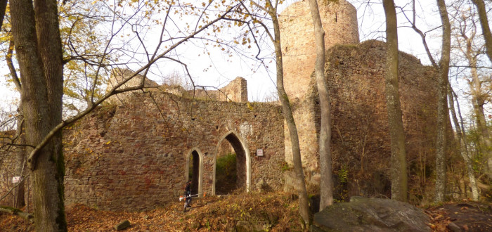 Zarostlé hradby zříceniny hradu Valdek prokoukly. Kdo za to může?
