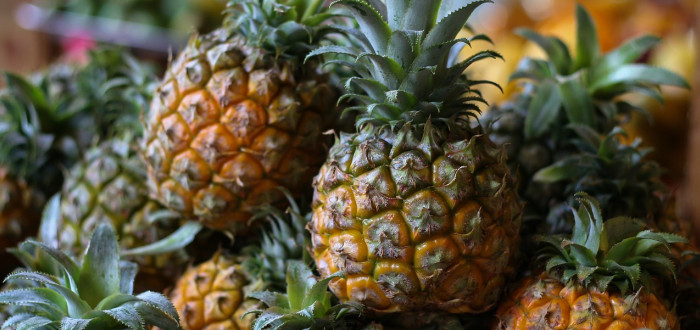 Máte rádi exotické ovoce a rádi experimentujete? Tak si vypěstujte vlastní citrusové plody nebo ananas 