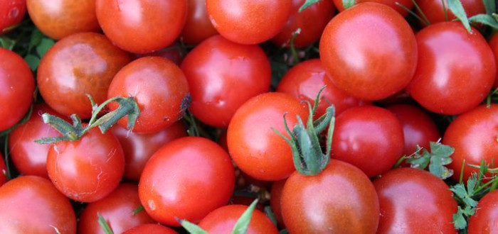 Zakonzervujte si rajčata bez jakékoliv ingredience. Jsou vynikající. Nevěříte? Tak čtěte návod