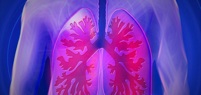 Chronická obstrukční plicní nemoc (CHOPN) v České republice trápí přibližně 14 % dospělých