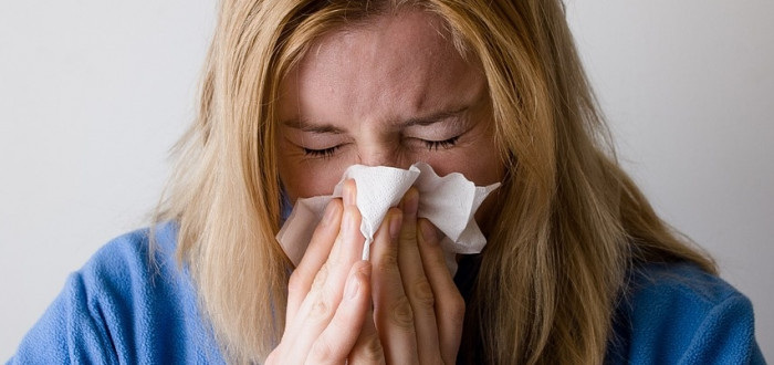 Ve Středočeském kraji evidují hygienici několik závažných případů chřipky. Jeden pacient onemocnění podlehl. Příbramská nemocnice omezila návštěvy