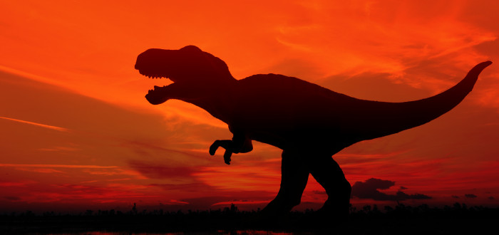 Malé horní končetiny tyrannosaura rexe jsou pravděpodobně pouze výsledkem vývojové specializace