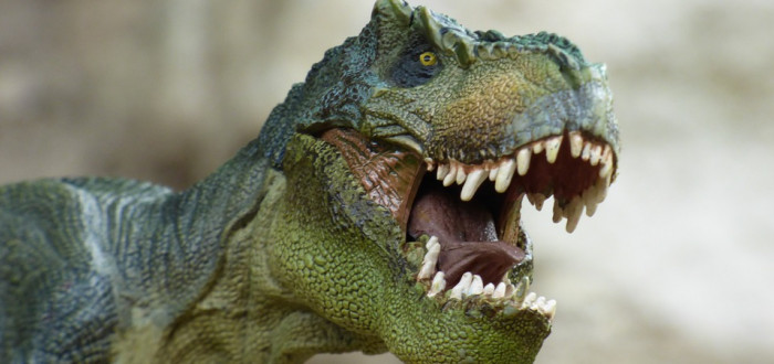 Kostra tyranosaura byla vydražena za rekordní částku