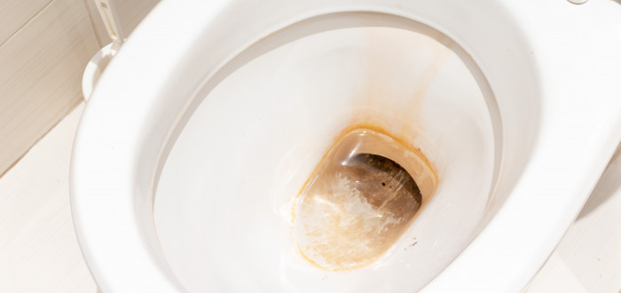 Vodní kámen z toalety odstraníte nejlépe pemzou