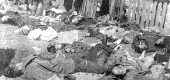 Volyňský masakr se řadí mezi genocidy. Banderovci vraždili Poláky, židy a další národnosti, které podle nich překáželi "etnicky čisté" Ukrajině