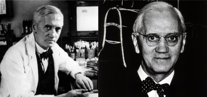 Alexander Fleming dostal Nobelovu cenu za medicínu 