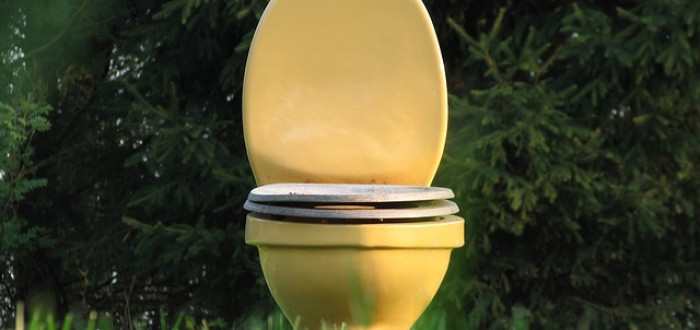 Záchodové prkénko není jediným semeništěm bakterií v domácnosti