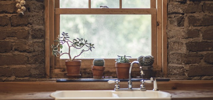 Zkrášlit si byt pokojovými rostlinami můžete i tehdy, když často odjíždíte z domu pryč