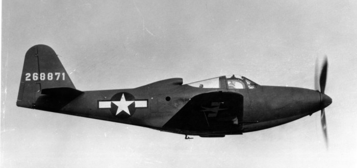 Letouny P-63 Kingcobra si Sověti velmi oblíbili, dobrou práci odvedly zejména na východní frontě během druhé světové války