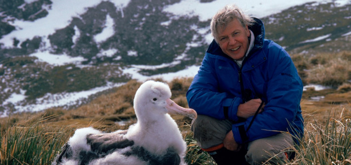 Sir David Attenborough naplnil svůj život bytostným zájmem o přírodu...