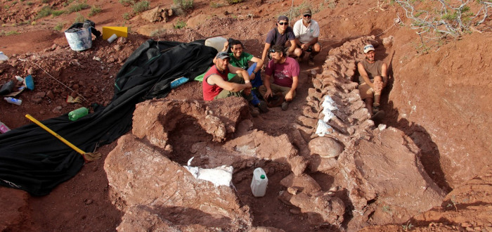 Muž na své zahradě objevil ostatky obrovského sauropoda
