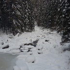 Řeka Vydra v zimě