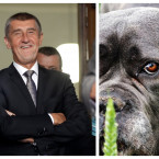 Babiš, pejsci a poker...