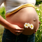 Jaké bylinky jsou při těhotenství vhodné a které nikoliv?