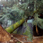 Takto spadl strom přímo do chaty v Černošicích. Jak to vypadalo na jiných místech?