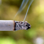Nevinné kouření často způsobí požár celého lesa