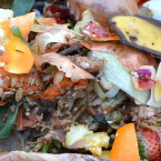 Jak vypadá váš kompost, máte nějaký?