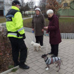 Podvodník využil důvěřivosti seniorky