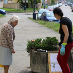 Přípravy na osázení květinářů u ulice Na Bezděkově