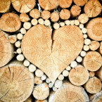 Mějte srdce a hlídejte i sousedovo dřevo. Solidarita se vyplácí
