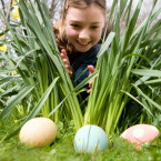 Velikonoční hledání vajíček se koná v pondělí od 15 hodin na pražském koupališti Džbán