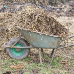 Už se nemůžete dočkat, až se budete věnovat zahrádce? Pokud chcete něco dělat už nyní, připravte si teplé pařeniště nebo vysejte letničky 