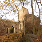 Zarostlé hradby zříceniny hradu Valdek prokoukly. Kdo za to může?