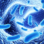 Probiotika, prebiotika a symbiotika, co znamenají?