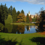 Věděli jste, že majitelem Průhonického parku je Botanický výzkumný ústav AV ČR?