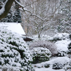 Když je celá zahrada pod sněhem, je na ni pěkný pohled