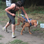 Železný pes se stal v Sadské tradičním závodem