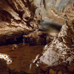 Vchod do jeskyní se nachází asi 50 m nade dnem bývalého Houbova lomu a vstupuje se jím do středního patra jeskyní
