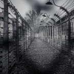 Podle Státního muzea Auschwitz-Birkenau zde zahynulo 1,4 milionu lidí
