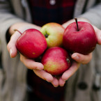 Ideální je jablka skladovat na chladném, temném a vlhkém místě