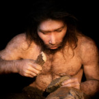 Neandertálec je předvěká forma člověka řazená buď do druhu Homo neanderthalensis, nebo poddruhu Homo sapiens neanderthalensis