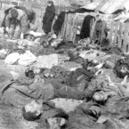 Volyňský masakr se řadí mezi genocidy. Banderovci vraždili Poláky, židy a další národnosti, které podle nich překáželi "etnicky čisté" Ukrajině