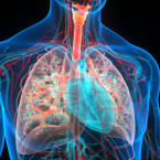 Aktuálně lékaři jednají o možnosti nasadit léčbu i lidem s méně pokročilou plicní fibrózou