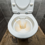 S odstraněním vodního kamene na toaletě vám pomůže mimo jiné i tableta do myčky