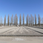 V koncentračním táboře Dachau strávil Pixa značnou část svého mládí