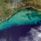 Voda obarvená sedimenty je dobře vidět ze satelitního snímku Mexického zálivu