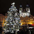 Vánoční stromy zdobí centra většiny měst a obcí