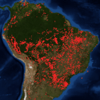 Až osmdesát tisíc požárů po celé Amazonii. To je výsledek katastrofy, která nemá obdoby