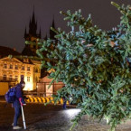 Vánoční strom na Staroměstském náměstí už stojí